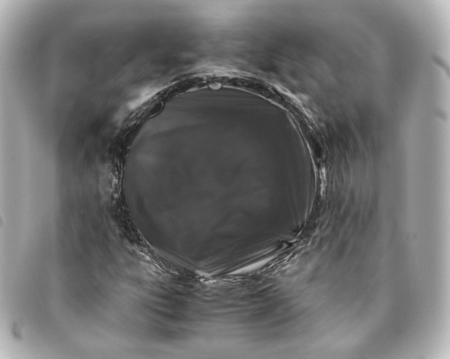 X0000095541303200712281535