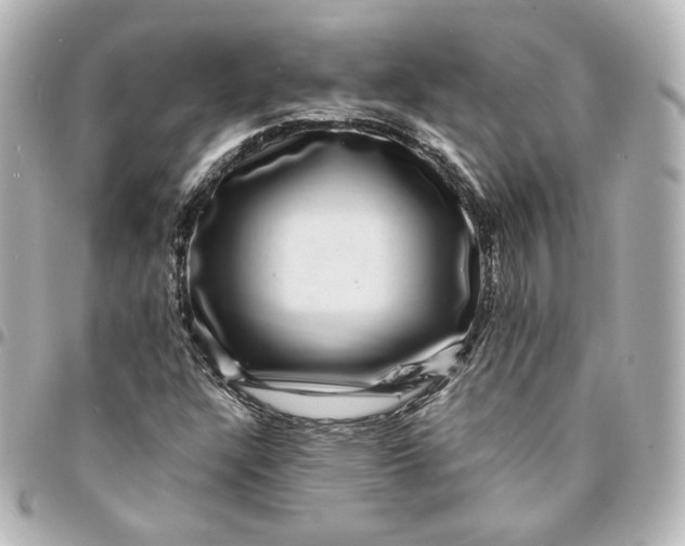 X0000095541304200712281535