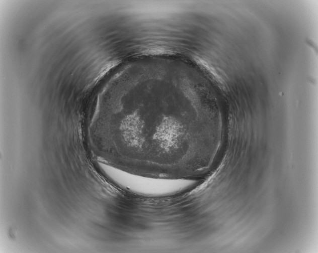 X0000095541305200712281535