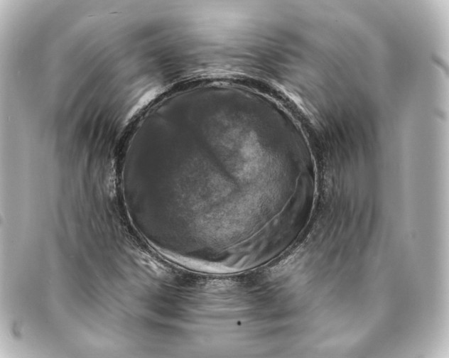 X0000095541306200712281535