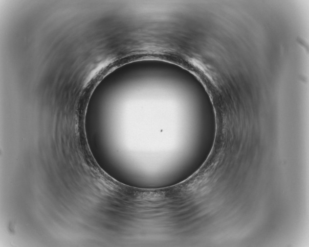 X0000095541307200712281535