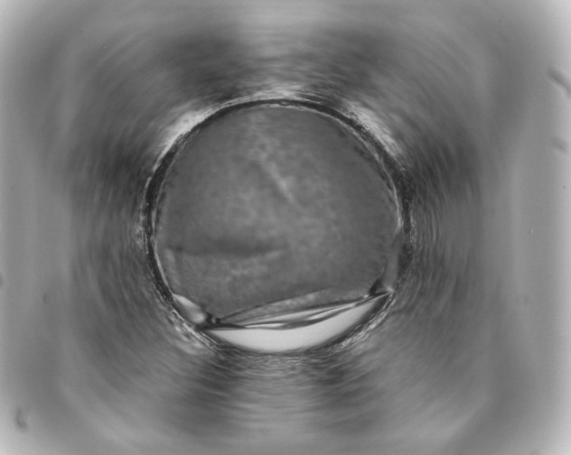 X0000095541308200712281535