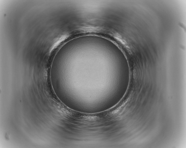 X0000095541309200712281535