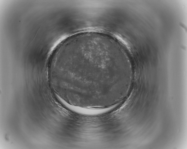 X0000095541310200712281535