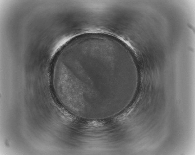 X0000095541311200712281535