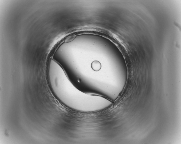 X0000095541312200712281535