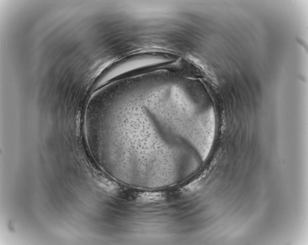 X0000095541313200712281535