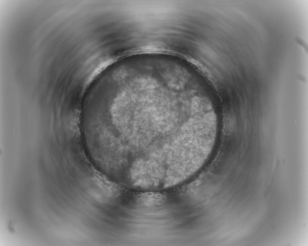 X0000095541314200712281535