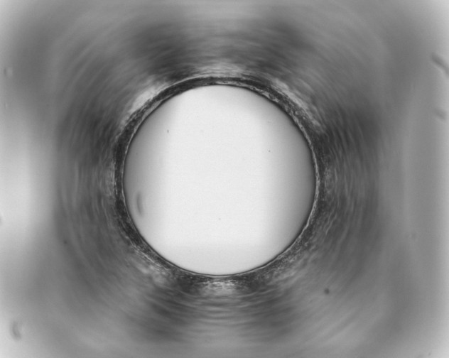 X0000095541315200712281535