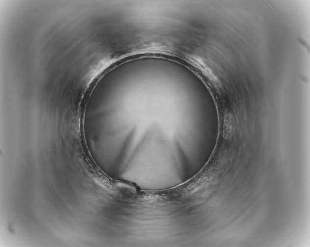 X0000095541316200712281535