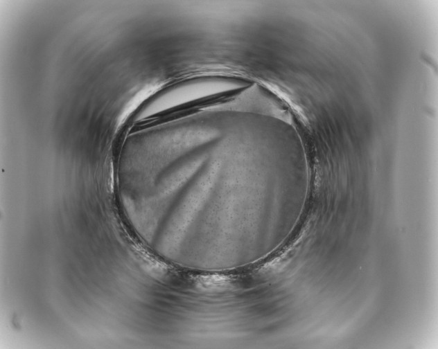 X0000095541317200712281535