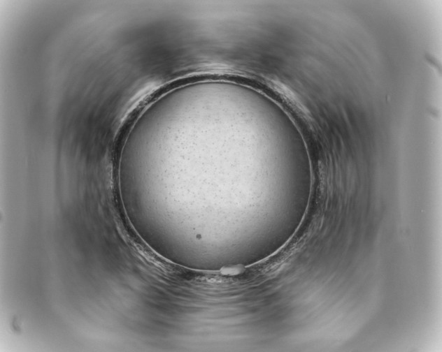 X0000095541318200712281535