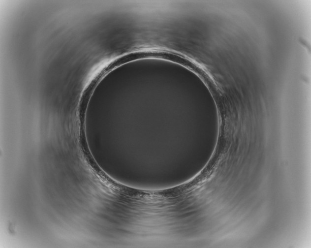 X0000095541319200712281535