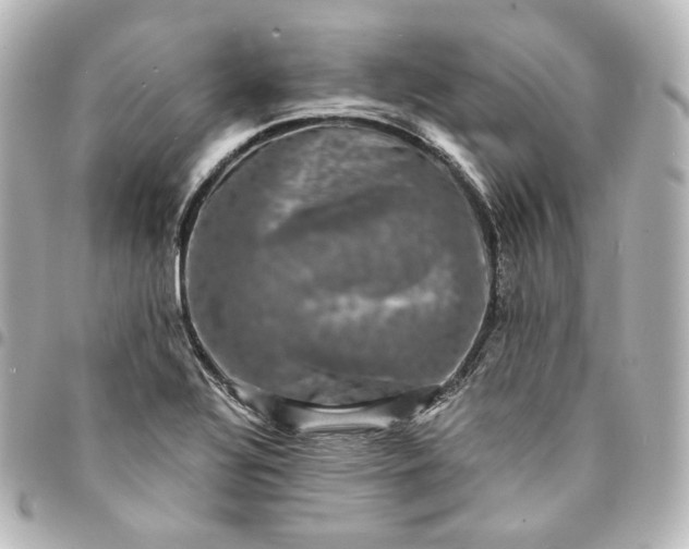 X0000095541320200712281535