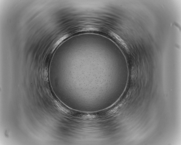 X0000095541321200712281535