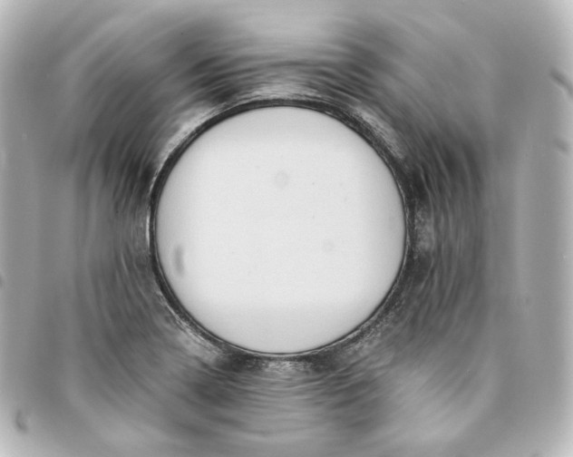 X0000095541322200712281535