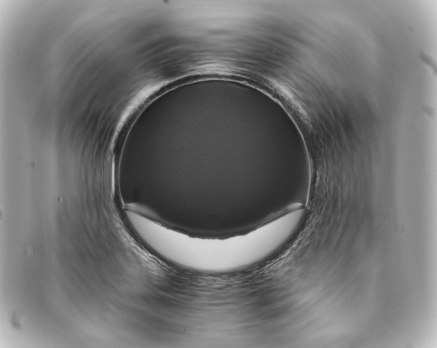 X0000095541323200712281535