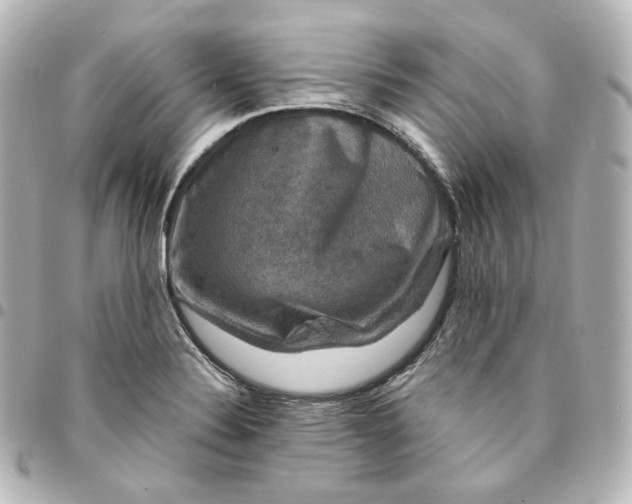 X0000095541324200712281535