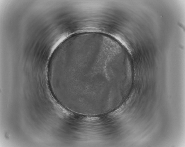 X0000095541325200712281535