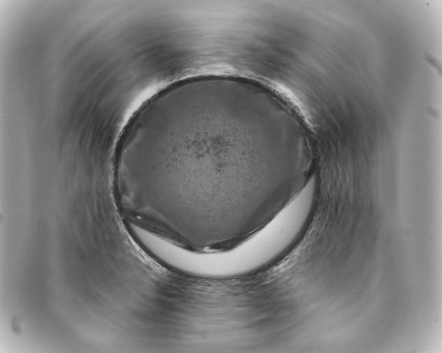 X0000095541326200712281535