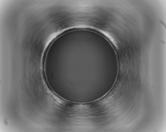 X0000095541327200712281535