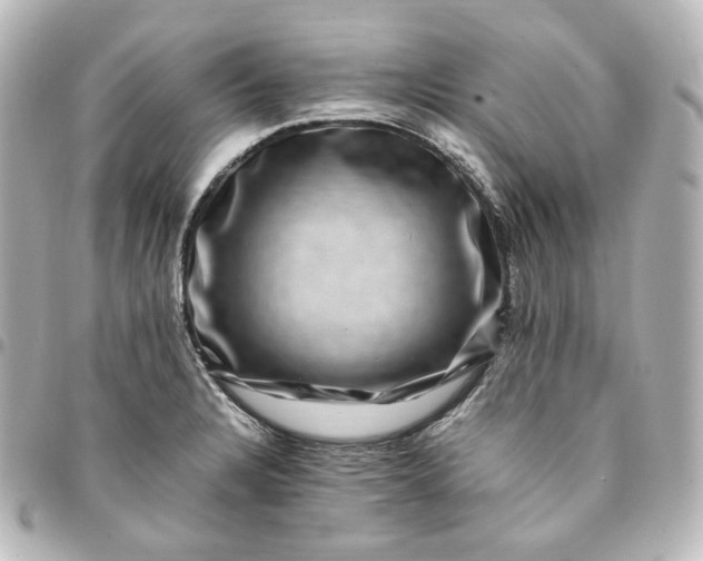 X0000095541328200712281535