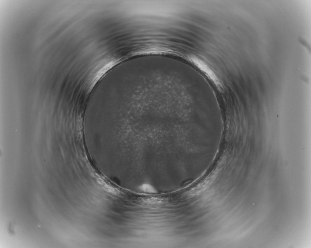 X0000095541329200712281535