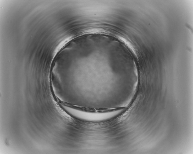 X0000095541330200712281535