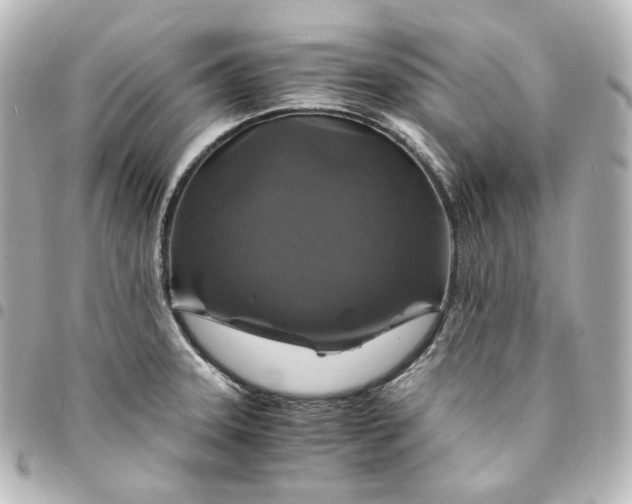 X0000095541331200712281535