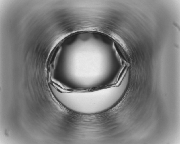 X0000095541332200712281535