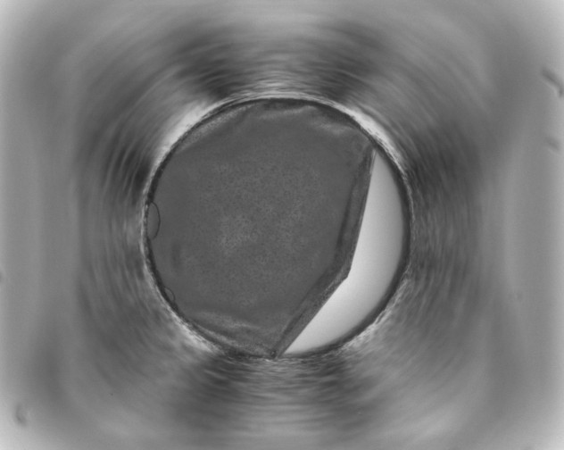 X0000095541333200712281535