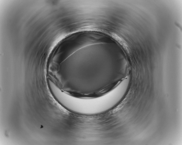 X0000095541334200712281535