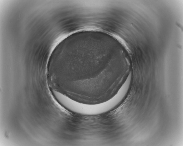 X0000095541335200712281535