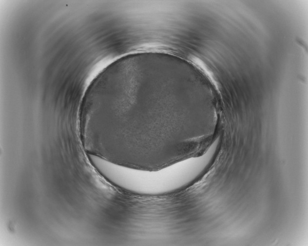 X0000095541336200712281535