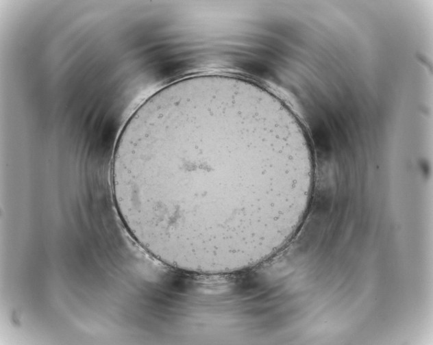 X0000095541338200712281535