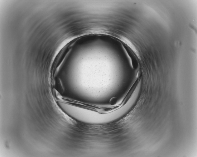 X0000095541339200712281535