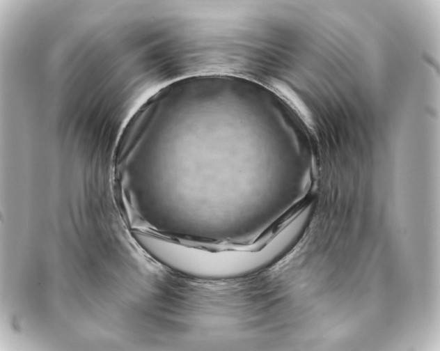 X0000095541340200712281535