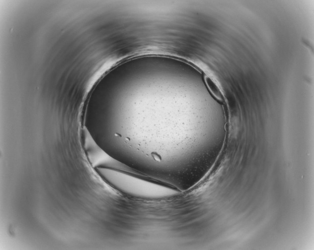 X0000095541341200712281535