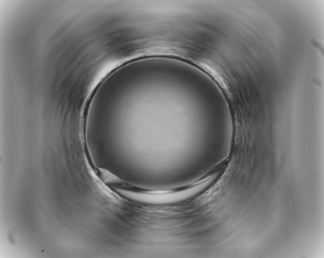 X0000095541342200712281535