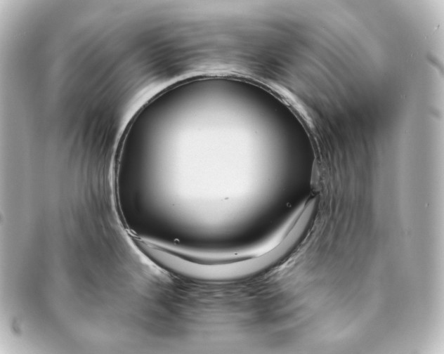 X0000095541343200712281535