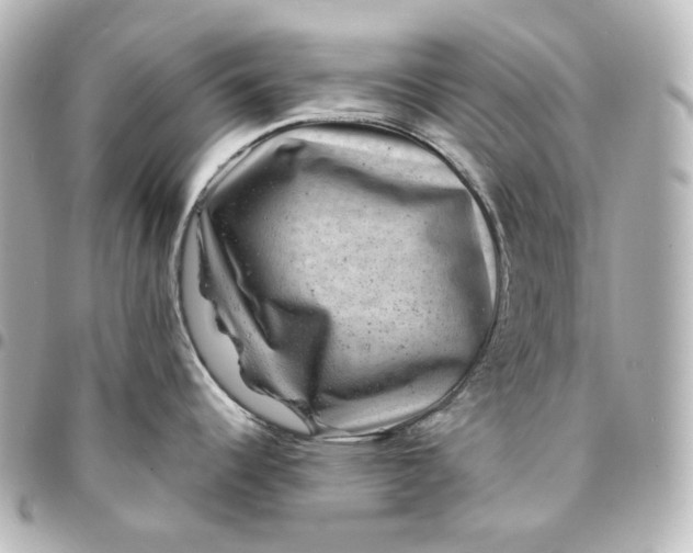 X0000095541344200712281535