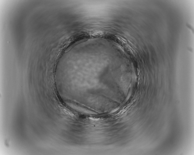 X0000095541345200712281535