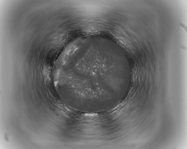 X0000095541346200712281535