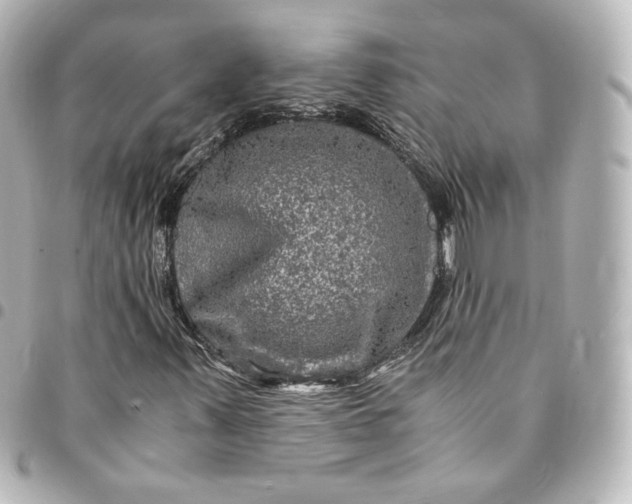 X0000095541347200712281535