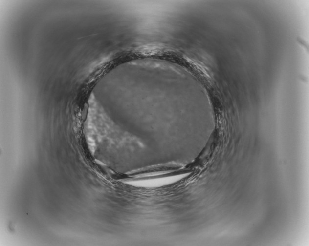 X0000095541349200712281535