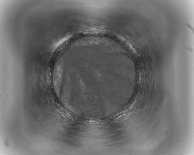 X0000095541350200712281535