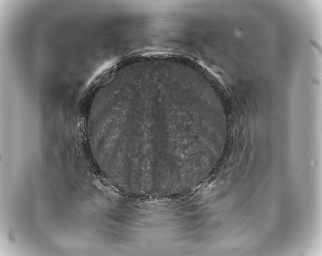 X0000095541351200712281535