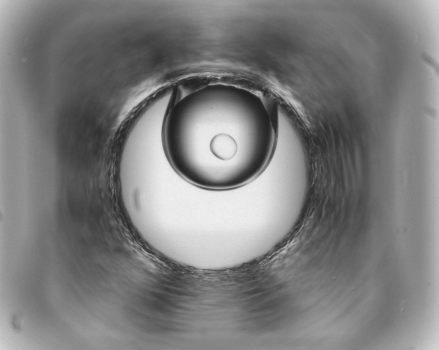 X0000095541352200712281535