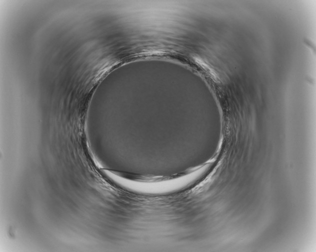 X0000095541353200712281534