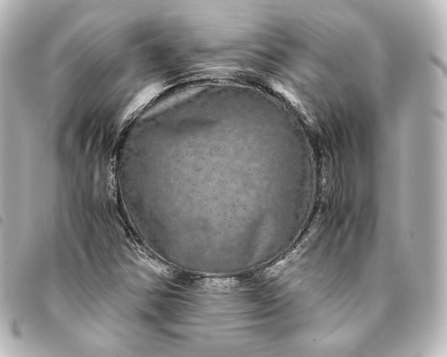 X0000095541354200712281534